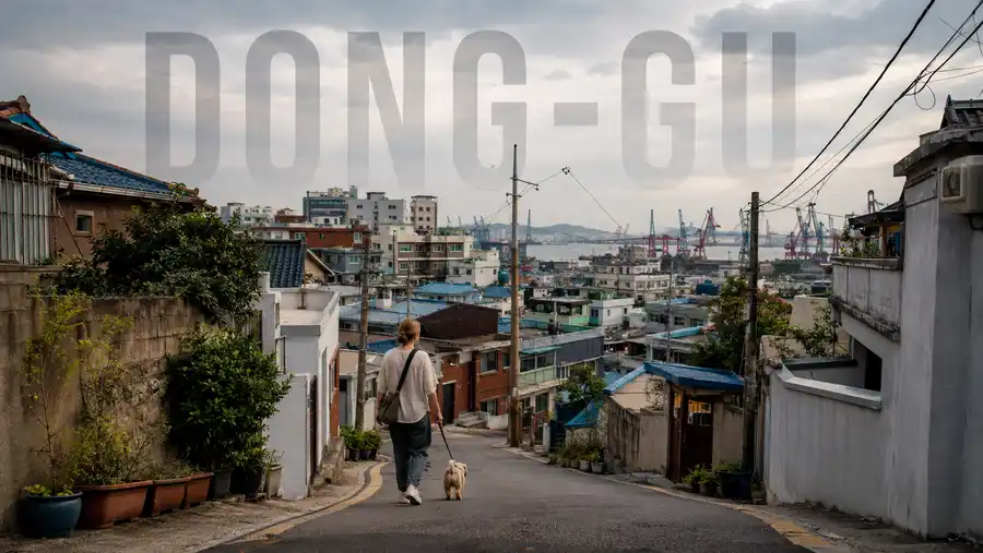 Dong-gu